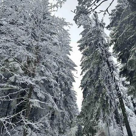 Euphoria * Borovets