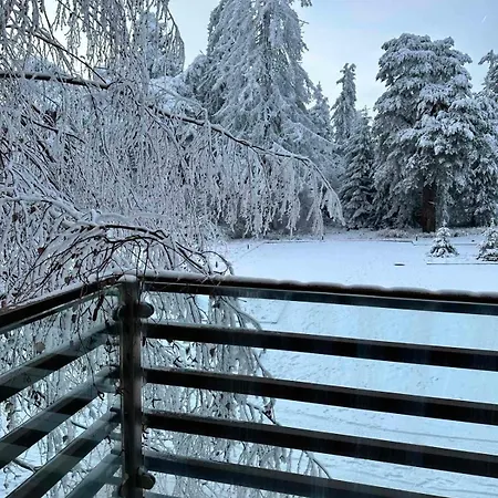 Euphoria Apartment Borowez