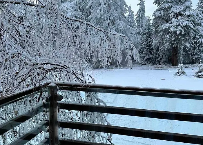 Euphoria Apartamento Borovets